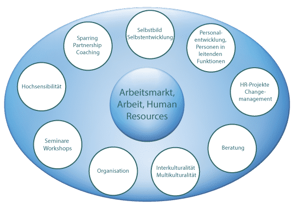 Angebotsgrafik-Anceschi-Human-Consulting-GmbH
